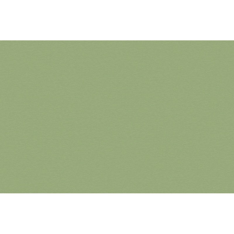Noleggio tovaglia raso/cotone cm.330x230 verde salvia per Catering